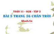 Bài 5 trang 56 Toán 11 Tập 2 Chân trời sáng tạo